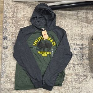 Levi's Men's Green and Gray Hoodie